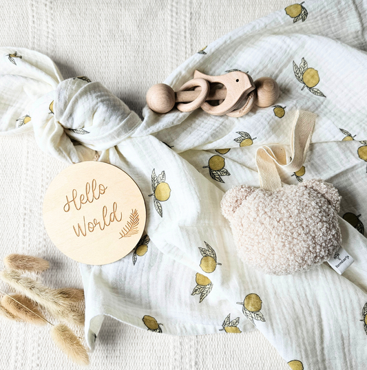 Erstlings-Set: Musselin-Tuch, Vogel-Rassel & Kuschelteddy